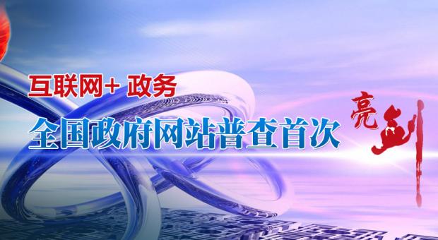 政府網站普查是＂互聯網+政務＂的集結號